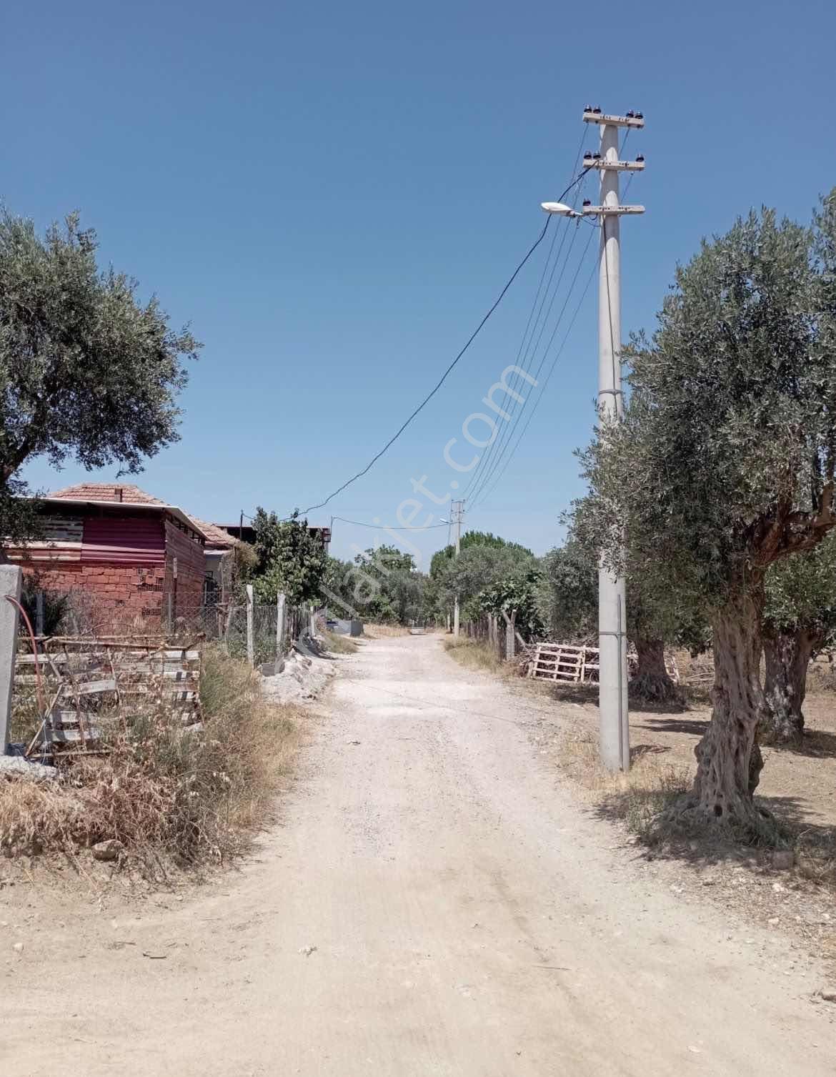 Torbalı Çapakda 1134 M2 Satılık Bahçe — fotoğraf 5