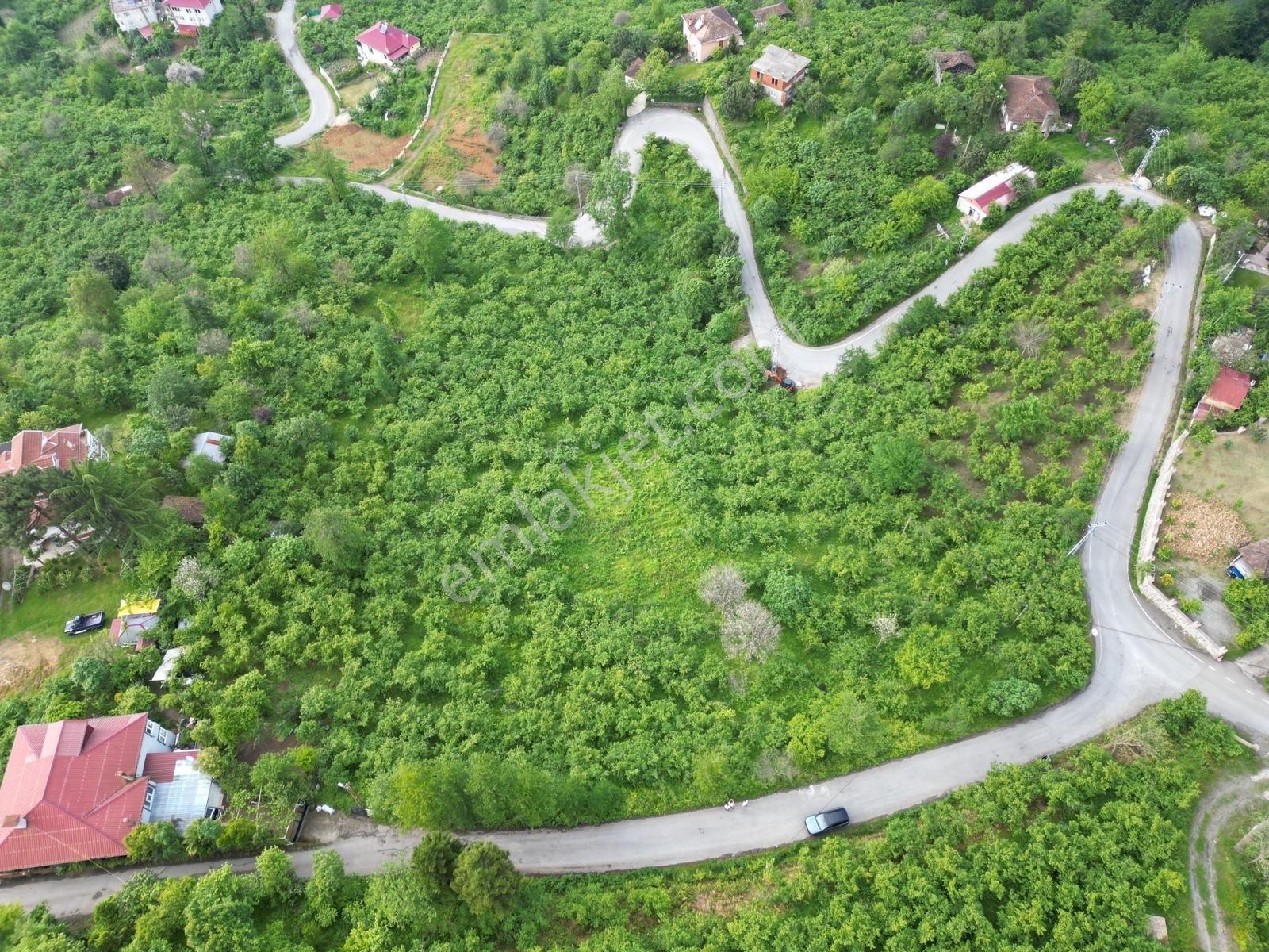 Yomra Çamlıca Mah. Satılık Arazi — fotoğraf 2