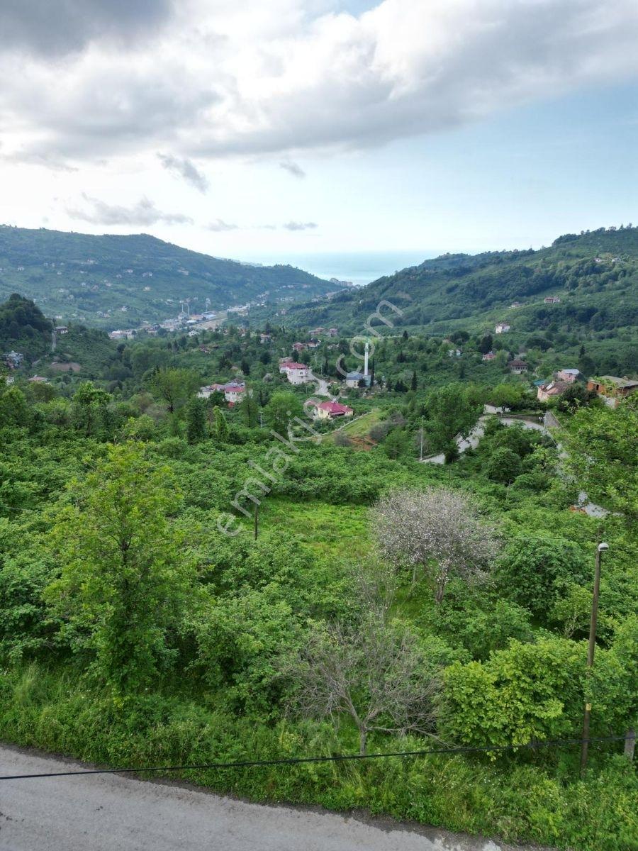 Yomra Çamlıca Mah. Satılık Arazi — fotoğraf 3