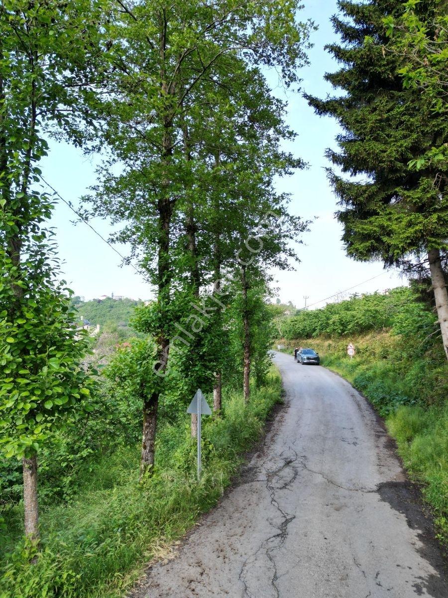 Yomra Çamlıca Mah. Satılık Arazi — fotoğraf 4