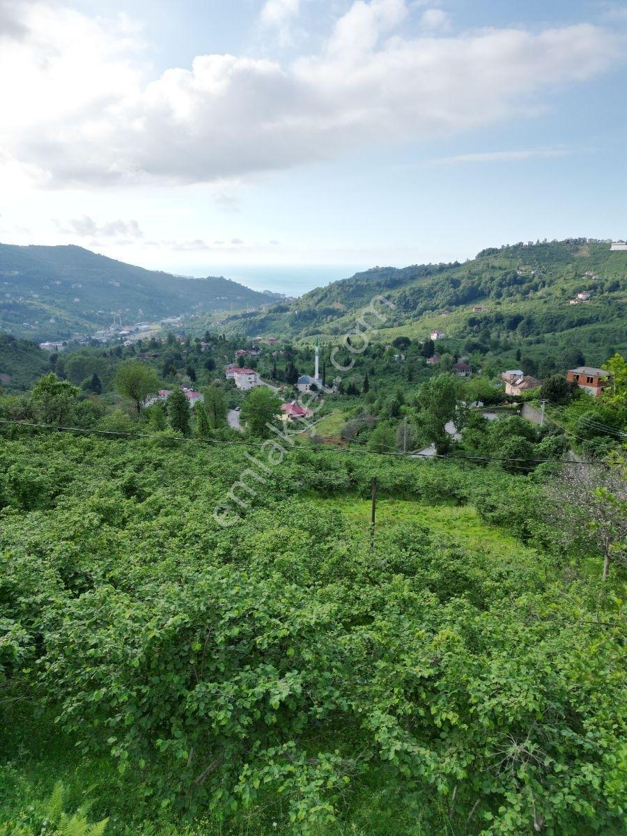 Yomra Çamlıca Mah. Satılık Arazi — fotoğraf 6