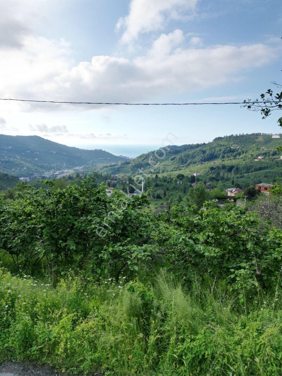 Yomra Çamlıca Mah. Satılık Arazi — fotoğraf 7