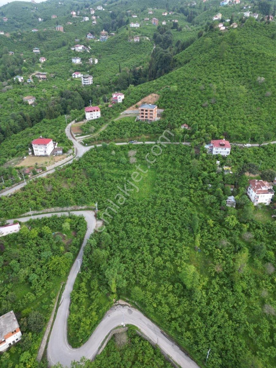 Yomra Çamlıca Mah. Satılık Arazi — fotoğraf 10