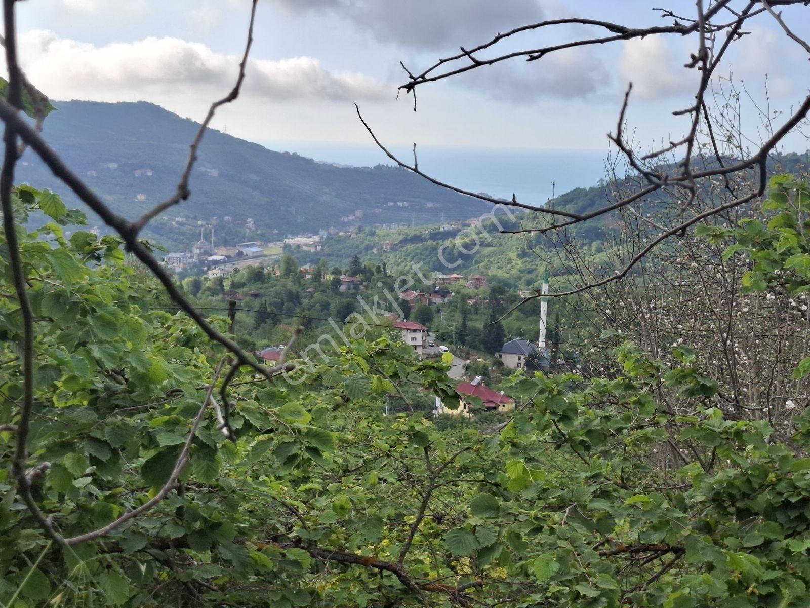 Yomra Çamlıca Mah. Satılık Arazi — fotoğraf 11