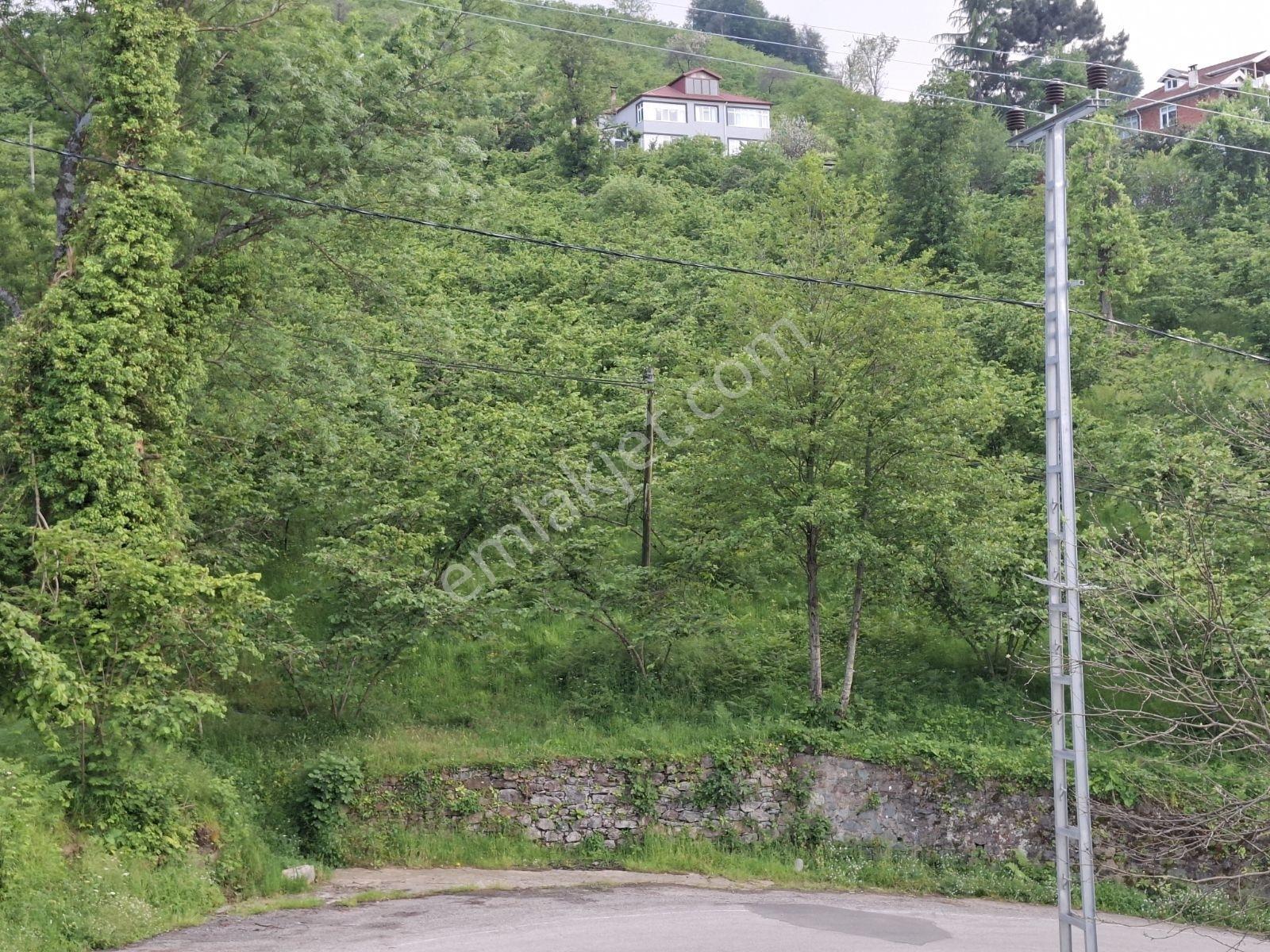 Yomra Çamlıca Mah. Satılık Arazi — fotoğraf 17