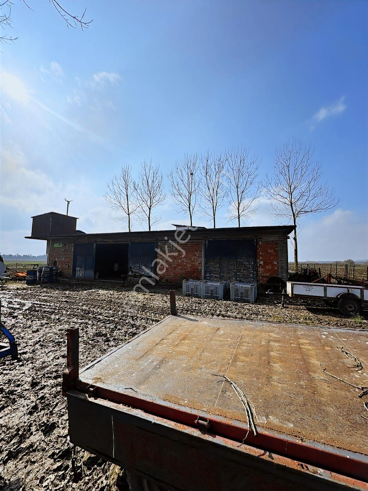 Sakarya 182 Dönüm Müstakıl Parsel Satılık Büyük Arazı Tarla — fotoğraf 8
