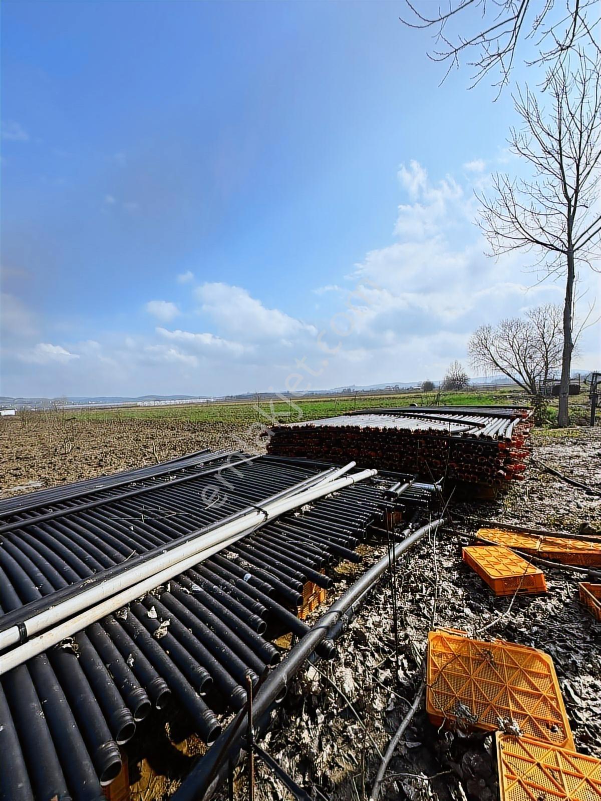 Sakarya 182 Dönüm Müstakıl Parsel Satılık Büyük Arazı Tarla — fotoğraf 13