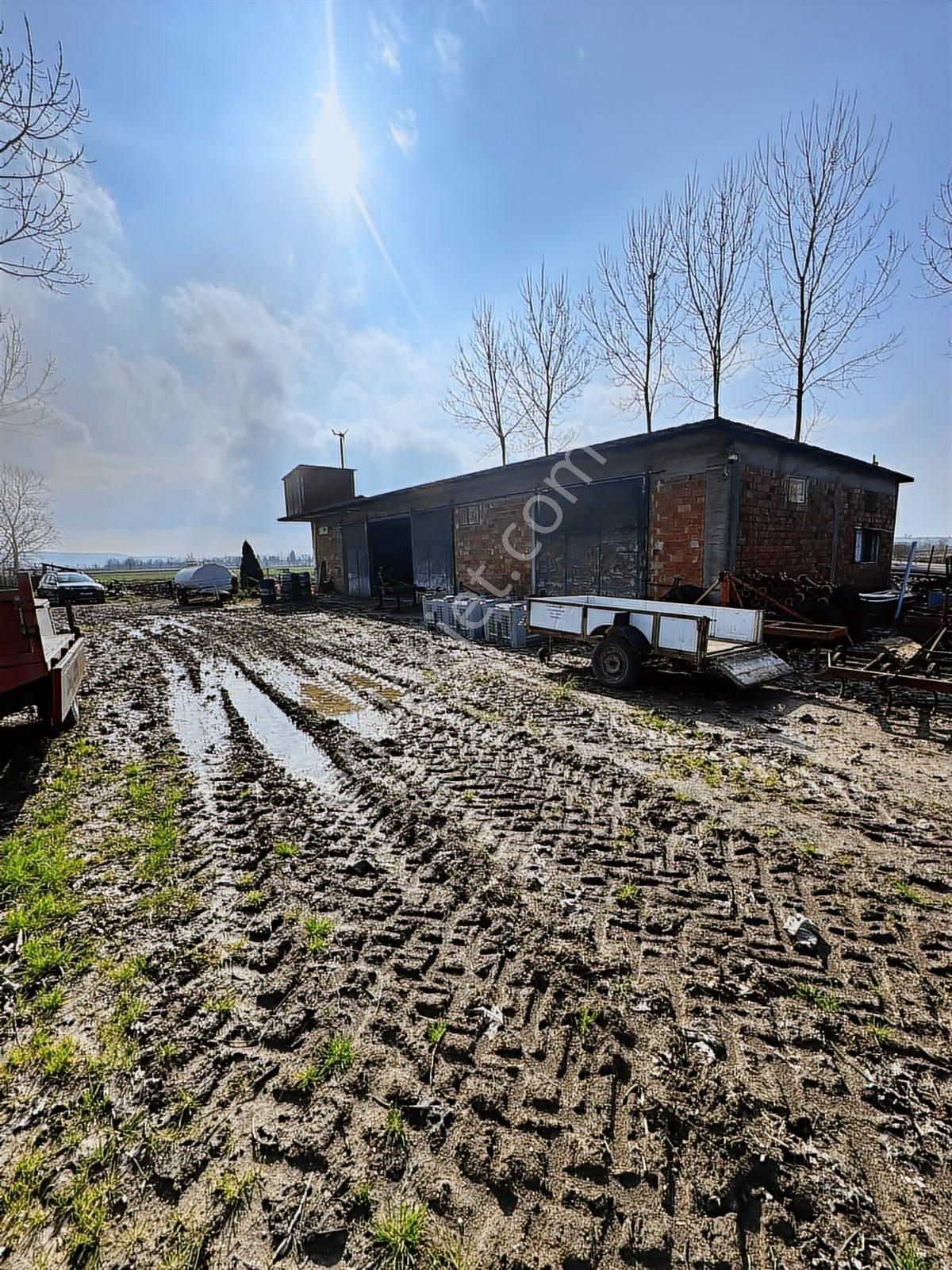 Sakarya 182 Dönüm Müstakıl Parsel Satılık Büyük Arazı Tarla — fotoğraf 15