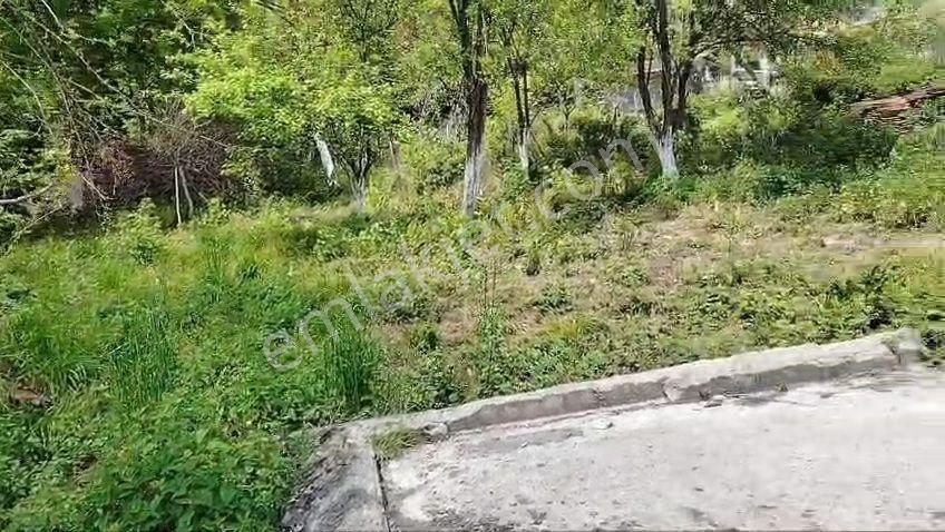 Kaynarca Şeyhtımarı 240m2 İmarlı Arsa.konumu Mükemmel. — fotoğraf 3
