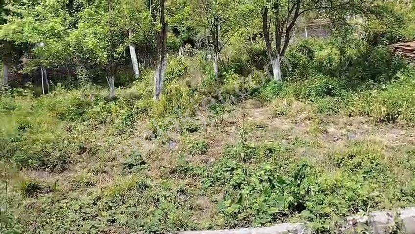 Kaynarca Şeyhtımarı 240m2 İmarlı Arsa.konumu Mükemmel. — fotoğraf 4