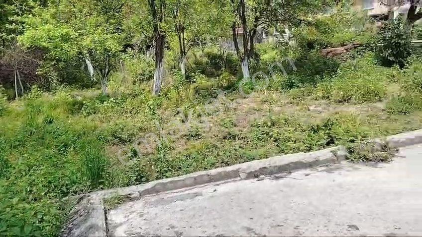 Kaynarca Şeyhtımarı 240m2 İmarlı Arsa.konumu Mükemmel. — fotoğraf 7