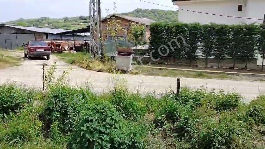 Kaynarca Şeyhtımarı 240m2 İmarlı Arsa.konumu Mükemmel. — fotoğraf 8