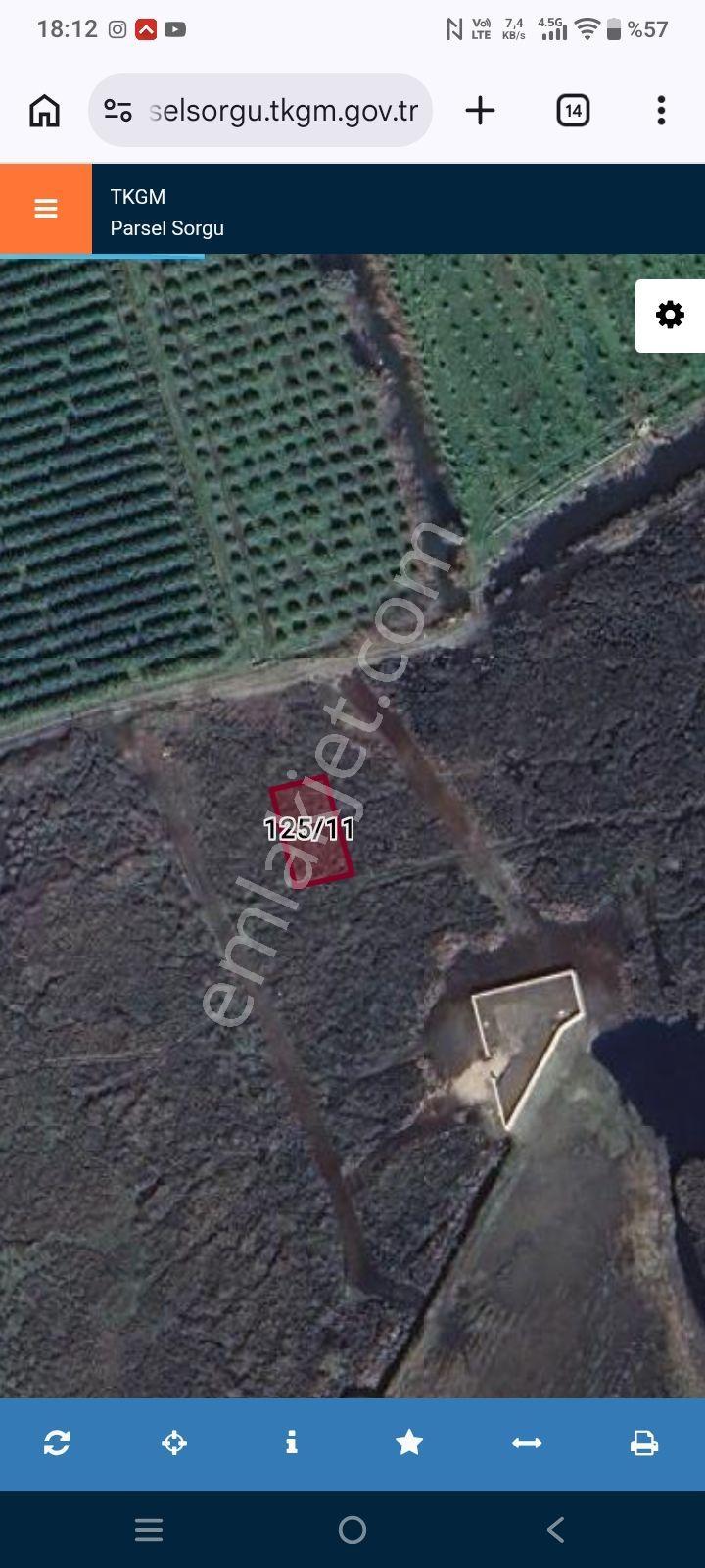 Muğla Köyceğiz Hamitte 397 M Göl Kenari Müstakil Arsa