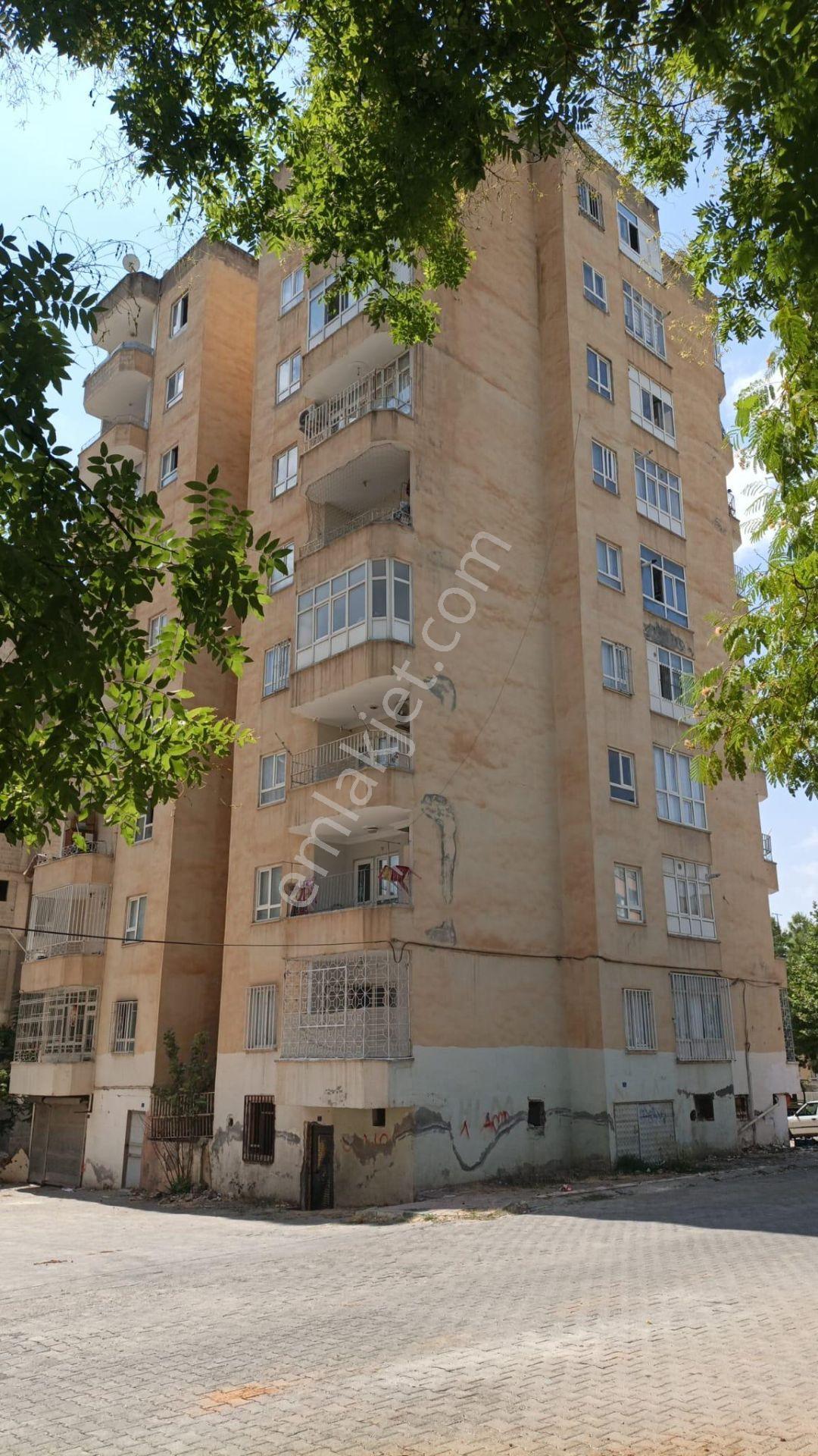 Paşabağı Harika Konumlu 3+1 Doğalgazlı Bakımlı Daire — fotoğraf 10