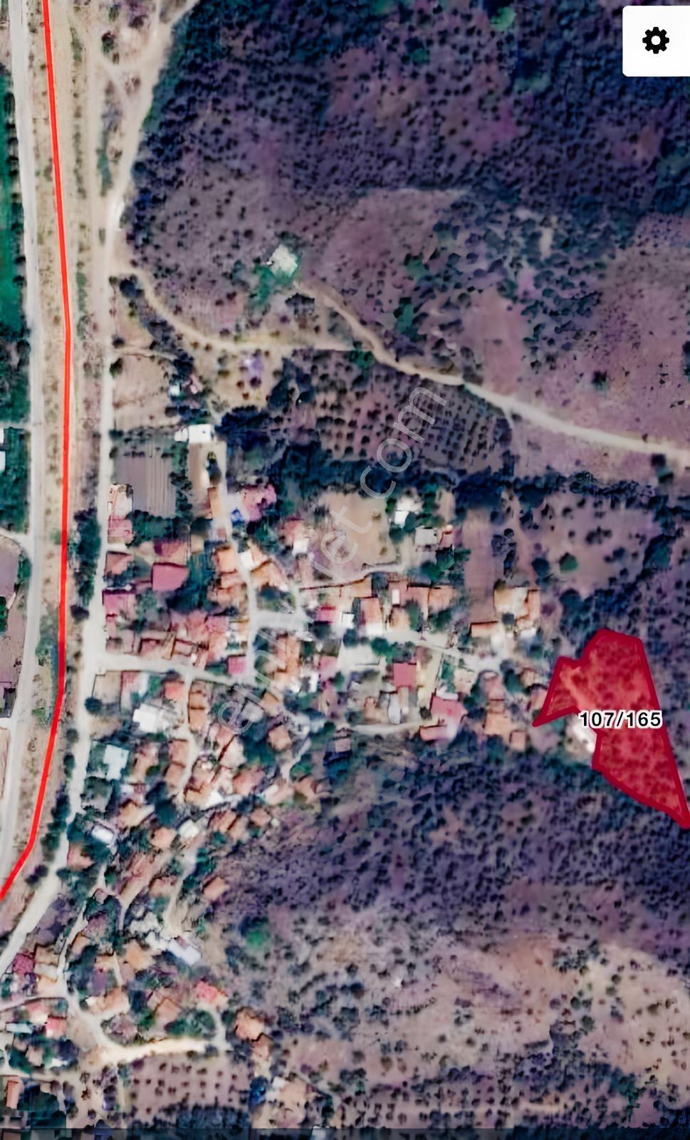 Muğla Milas Karşıyaka'da 3.725m² Satılık Zeytinlik — fotoğraf 2