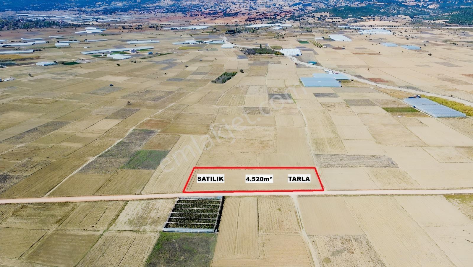 Vip Gayrimenkul'den Bozhüyük Mah. 4.520m² Yol Cepheli Tarla — fotoğraf 2