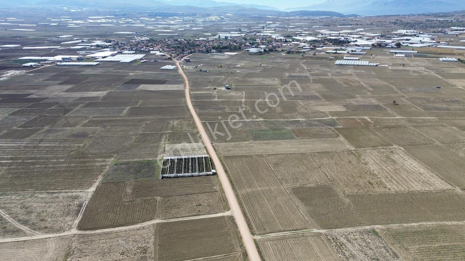 Vip Gayrimenkul'den Bozhüyük Mah. 4.520m² Yol Cepheli Tarla — fotoğraf 7