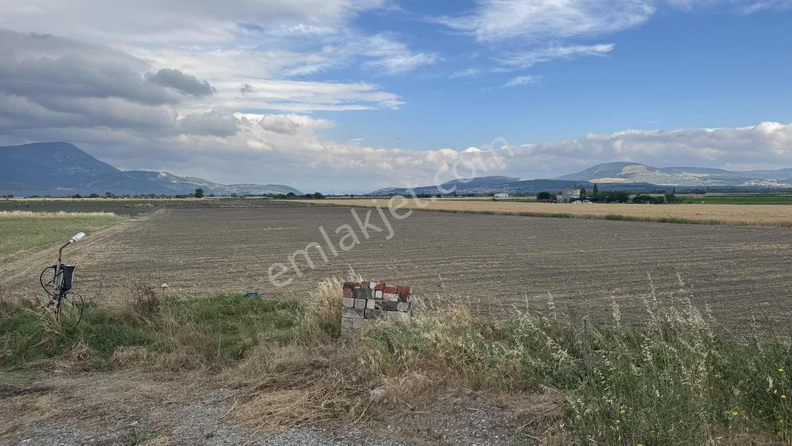 Ana Asfalta 62 Mt Cepheli | Elektrik + Su | Ruhsatlı Sondaj — fotoğraf 7
