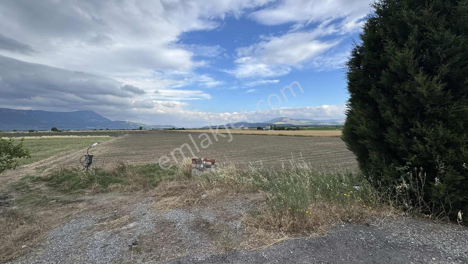 Ana Asfalta 62 Mt Cepheli | Elektrik + Su | Ruhsatlı Sondaj — fotoğraf 8