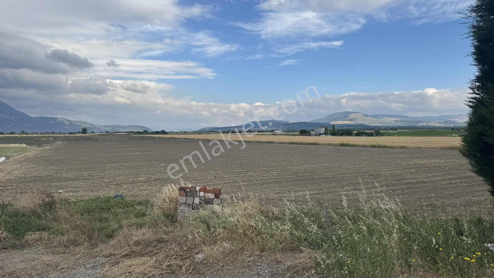 Ana Asfalta 62 Mt Cepheli | Elektrik + Su | Ruhsatlı Sondaj — fotoğraf 9
