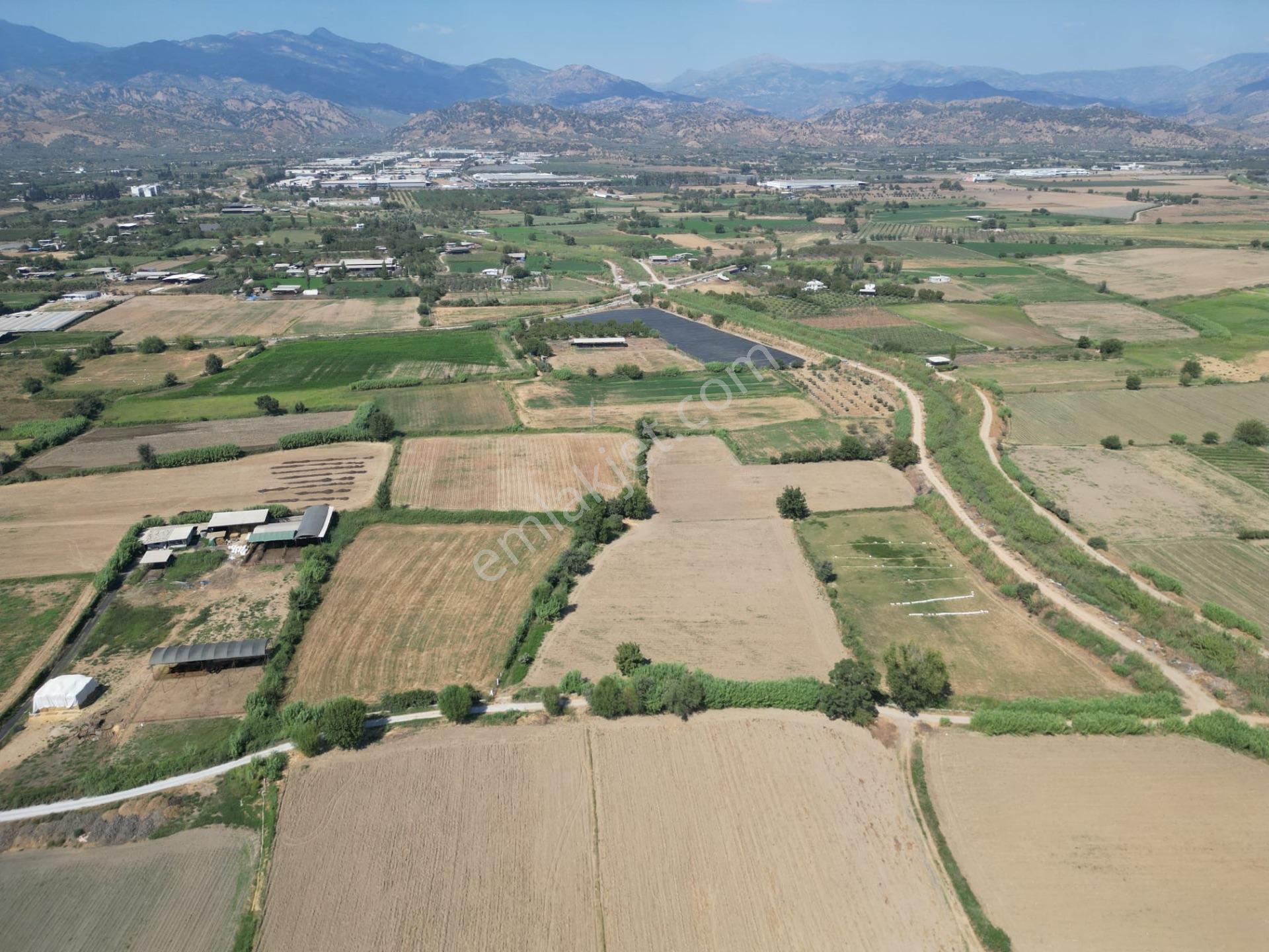 “merkeze Ve Osb’ye Yakın 8 Dönüm Tarla – Yolu Açık, Sorunsuz Altyapı” — fotoğraf 7