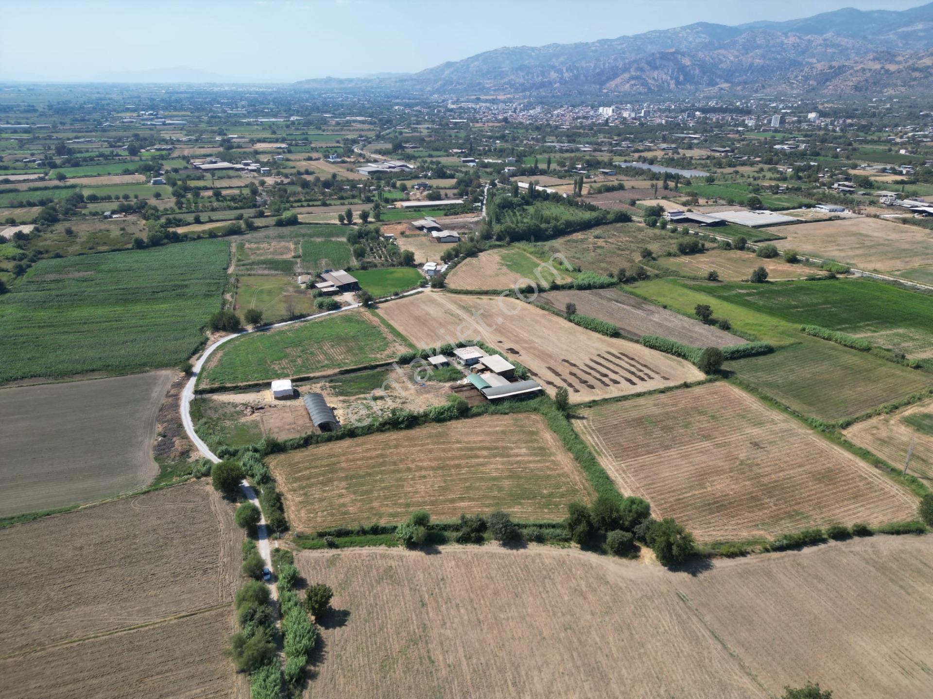 “merkeze Ve Osb’ye Yakın 8 Dönüm Tarla – Yolu Açık, Sorunsuz Altyapı” — fotoğraf 8