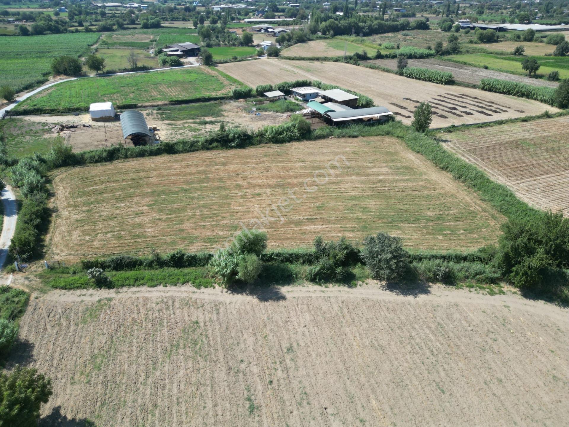 “merkeze Ve Osb’ye Yakın 8 Dönüm Tarla – Yolu Açık, Sorunsuz Altyapı” — fotoğraf 9