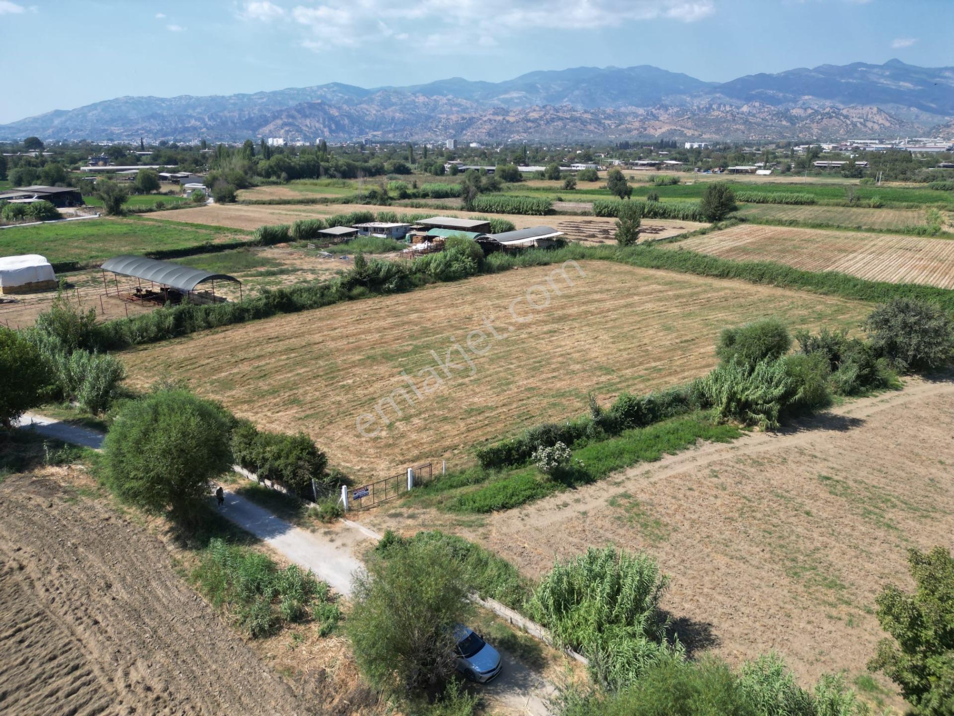 “merkeze Ve Osb’ye Yakın 8 Dönüm Tarla – Yolu Açık, Sorunsuz Altyapı” — fotoğraf 10