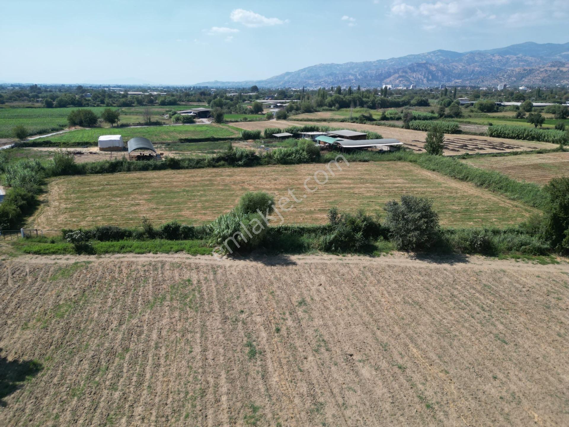 “merkeze Ve Osb’ye Yakın 8 Dönüm Tarla – Yolu Açık, Sorunsuz Altyapı” — fotoğraf 11