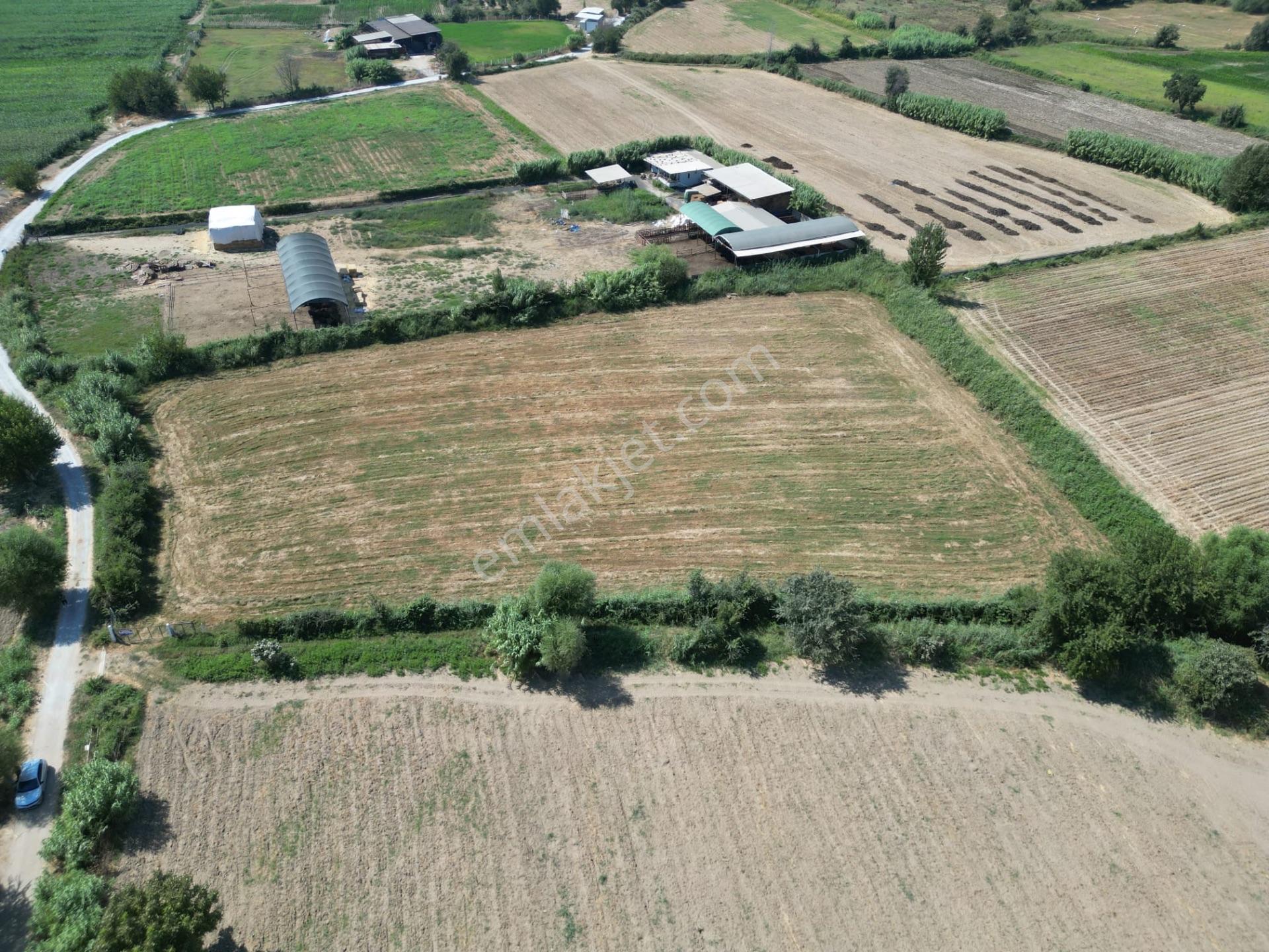 “merkeze Ve Osb’ye Yakın 8 Dönüm Tarla – Yolu Açık, Sorunsuz Altyapı” — fotoğraf 12