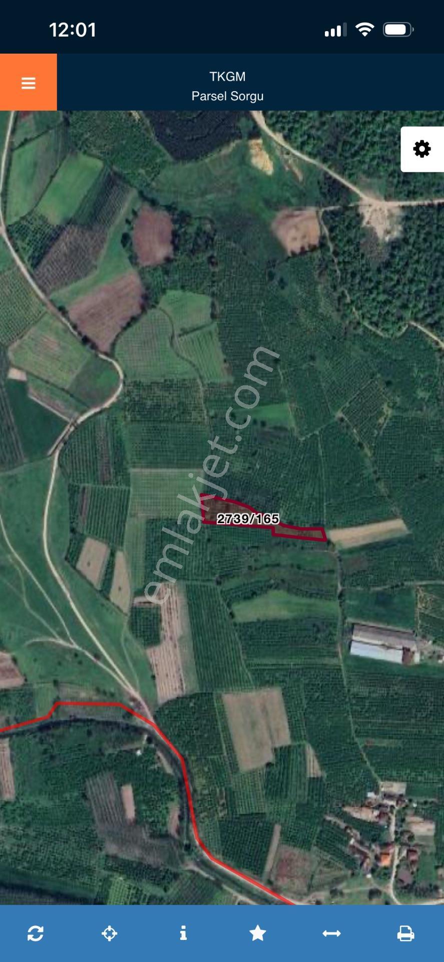 Sakarya Hendek Uzunçarşı’da 4.815 M², 150 Kök Fındıklı Satılık Fındıklık – 3.000.000 Tl — fotoğraf 6