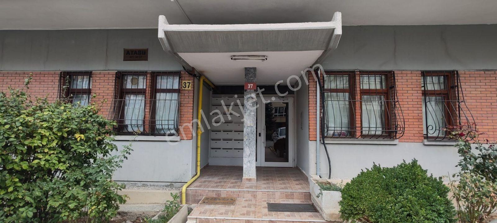 Tirebolu Sokakta 3+1 Satılık Daire — fotoğraf 11