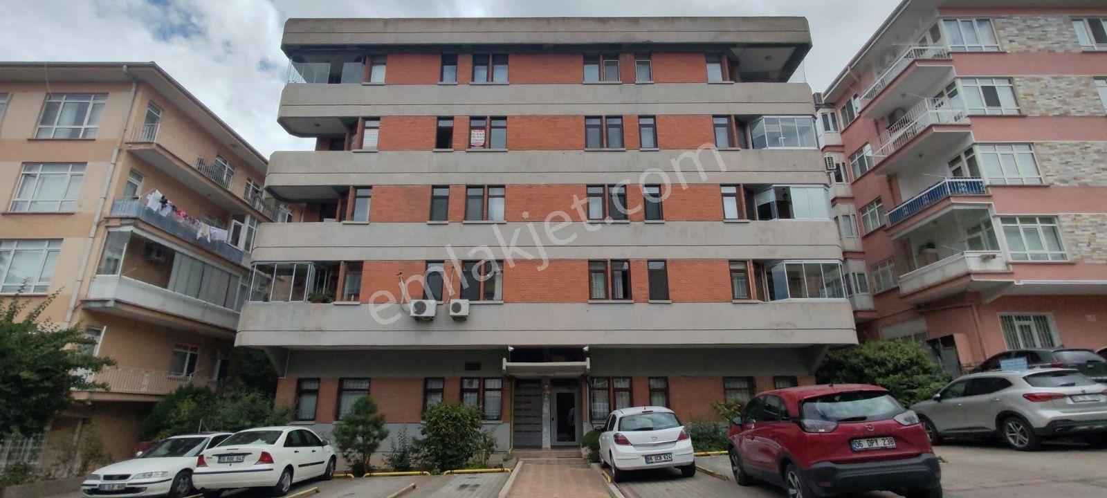 Tirebolu Sokakta 3+1 Satılık Daire — fotoğraf 14