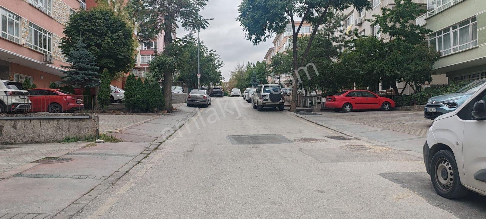 Tirebolu Sokakta 3+1 Satılık Daire — fotoğraf 15