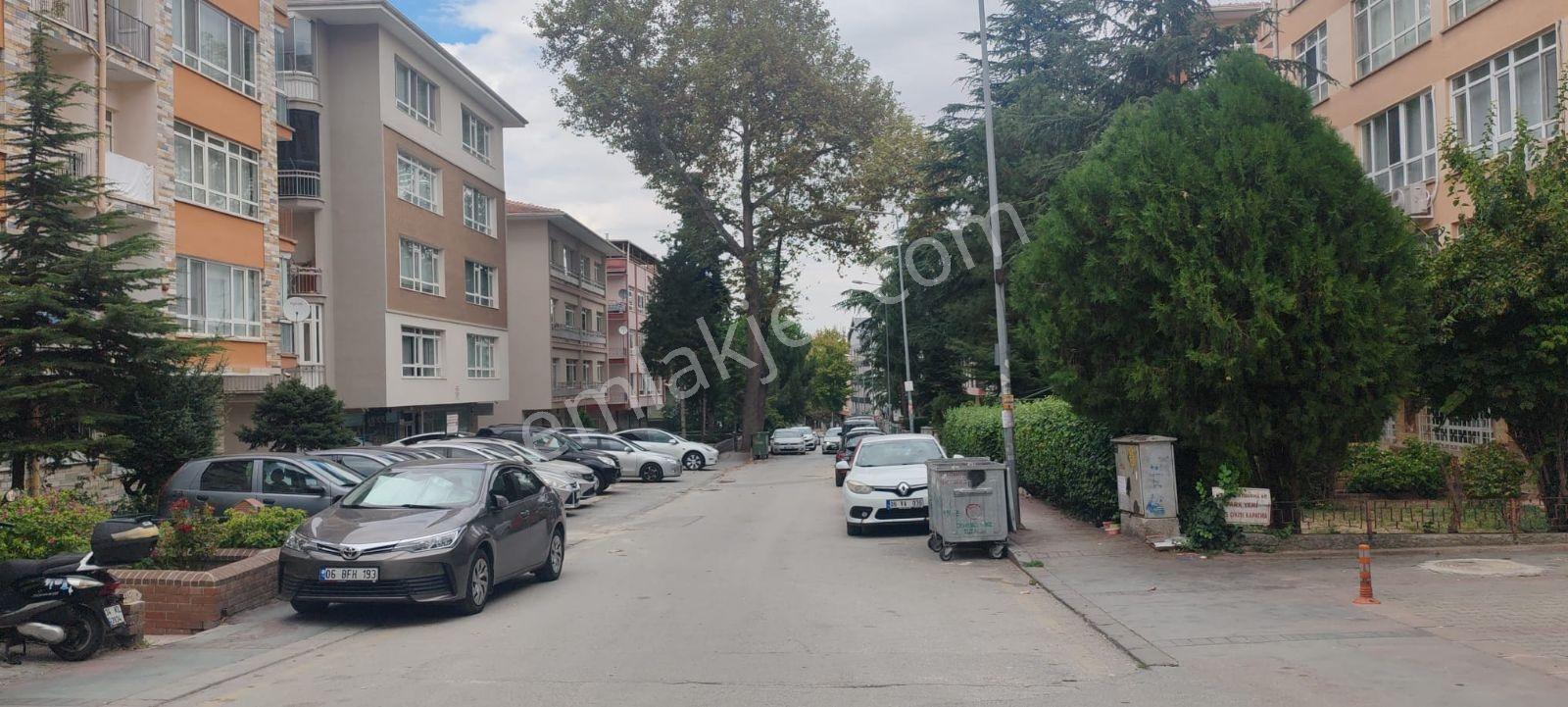 Tirebolu Sokakta 3+1 Satılık Daire — fotoğraf 16