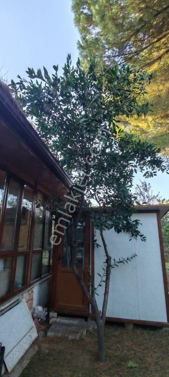 Burhaniye İmko Sitesi'nde Tümüyle Yenilenmiş Villa — fotoğraf 17