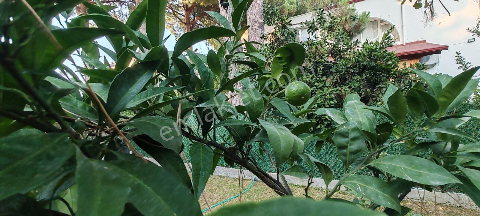 Burhaniye İmko Sitesi'nde Tümüyle Yenilenmiş Villa — fotoğraf 18