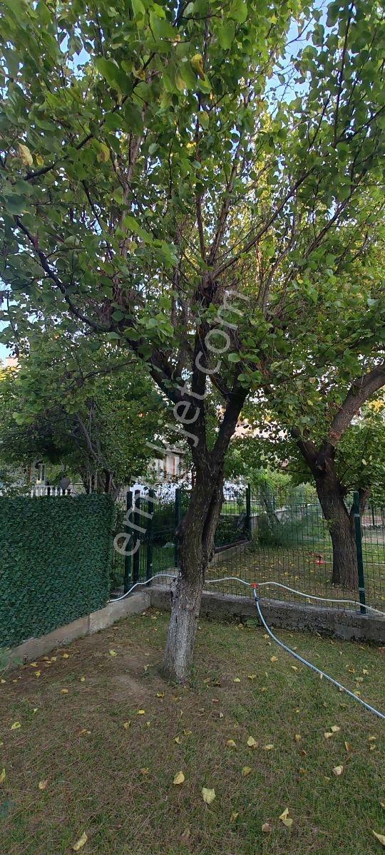 Burhaniye İmko Sitesi'nde Tümüyle Yenilenmiş Villa — fotoğraf 19