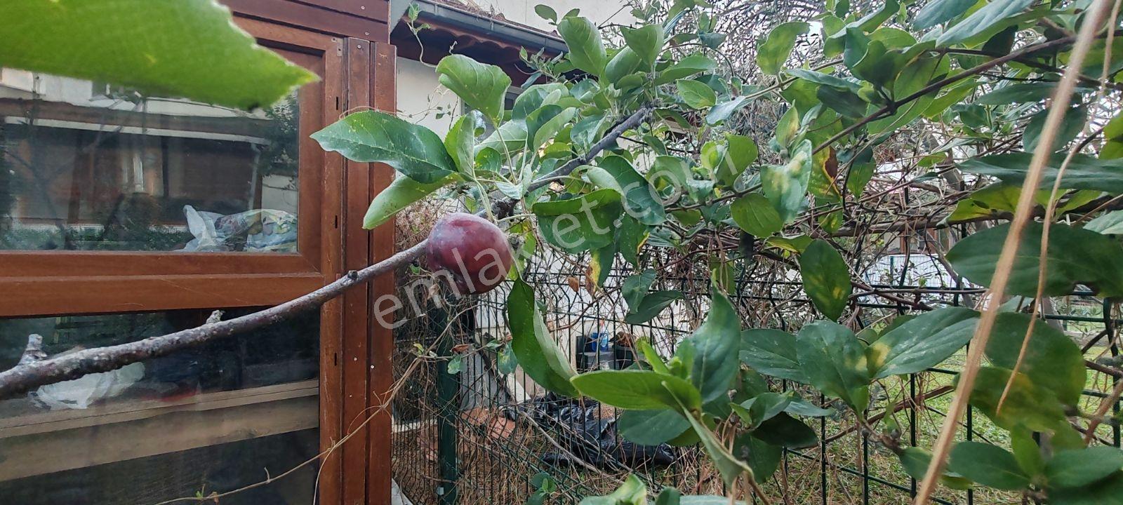 Burhaniye İmko Sitesi'nde Tümüyle Yenilenmiş Villa — fotoğraf 20