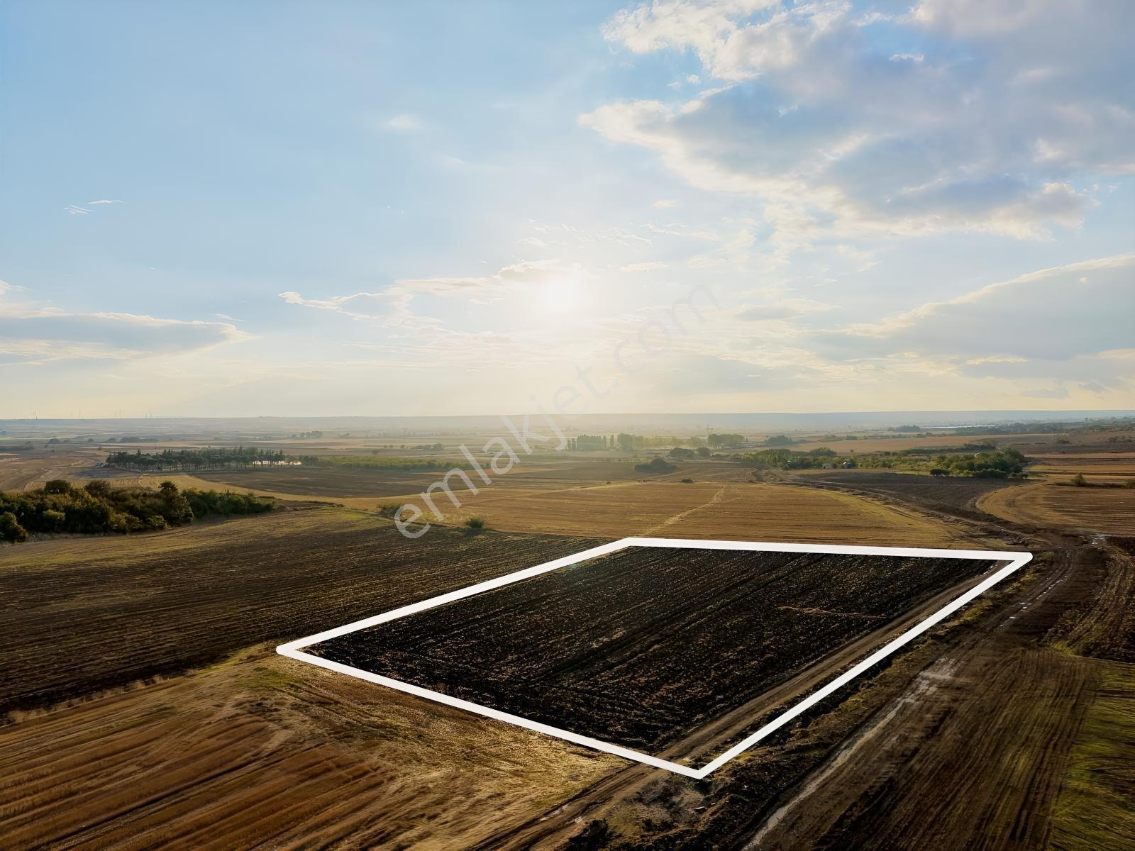 Okçular Köyünde İmar Sınırında 9.000 M2 Satılık Tek Tapu Tarla — fotoğraf 10