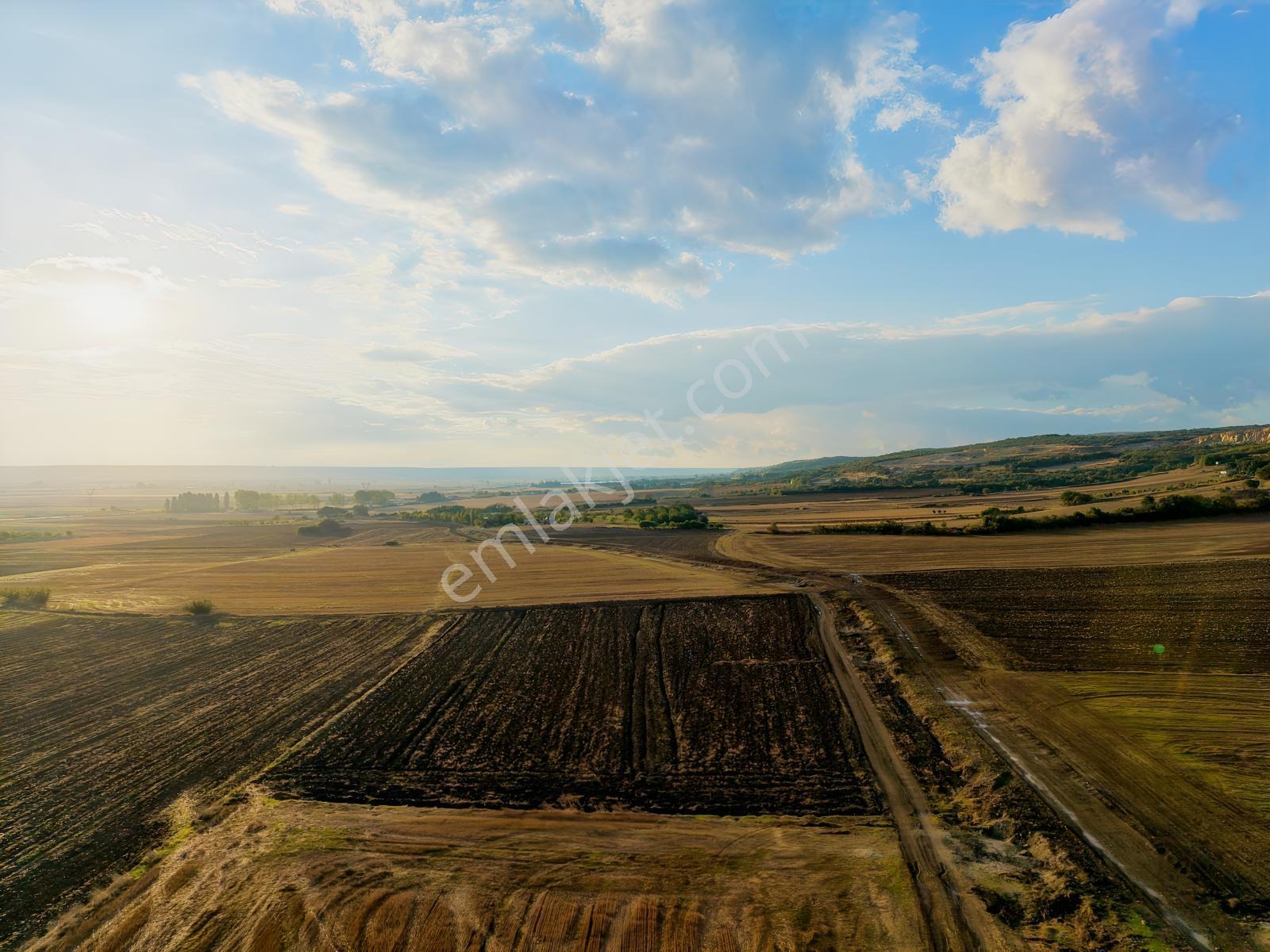 Okçular Köyünde İmar Sınırında 9.000 M2 Satılık Tek Tapu Tarla — fotoğraf 11