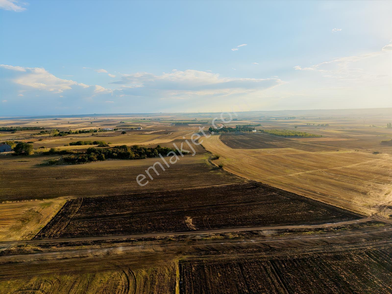 Okçular Köyünde İmar Sınırında 9.000 M2 Satılık Tek Tapu Tarla — fotoğraf 16