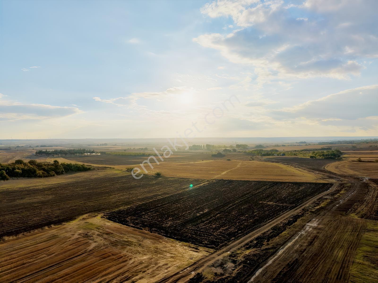 Okçular Köyünde İmar Sınırında 9.000 M2 Satılık Tek Tapu Tarla — fotoğraf 18