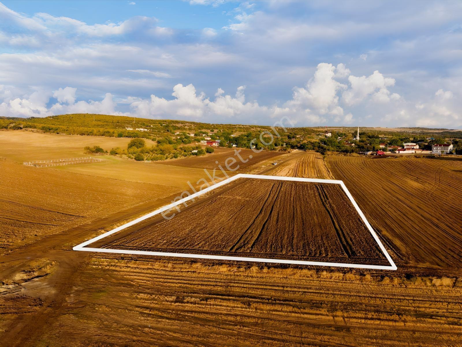 Okçular Köyünde İmar Sınırında 9.000 M2 Satılık Tek Tapu Tarla — fotoğraf 20