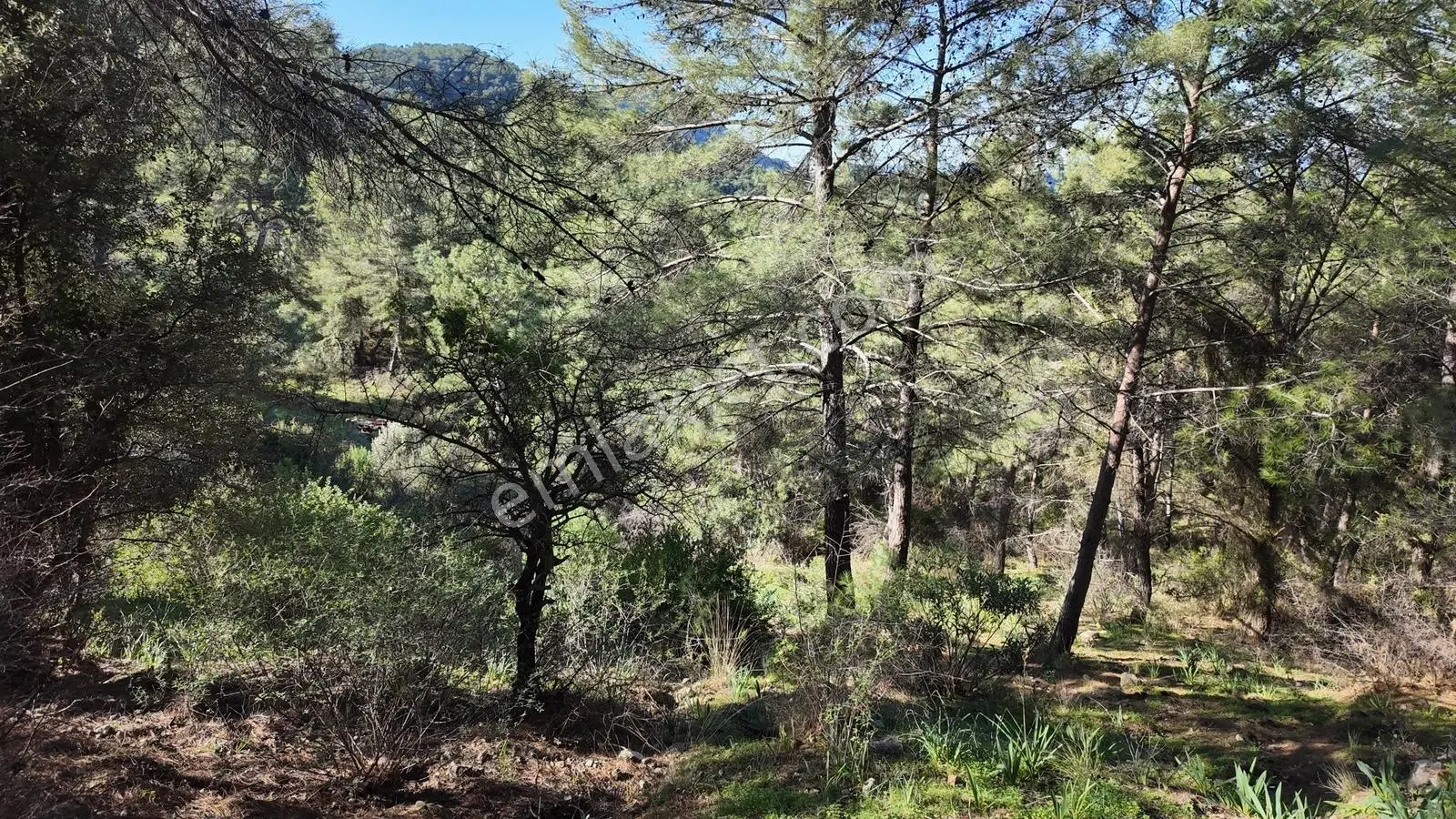 Gökbel Satılık 692 M2 Müstakil Tarla