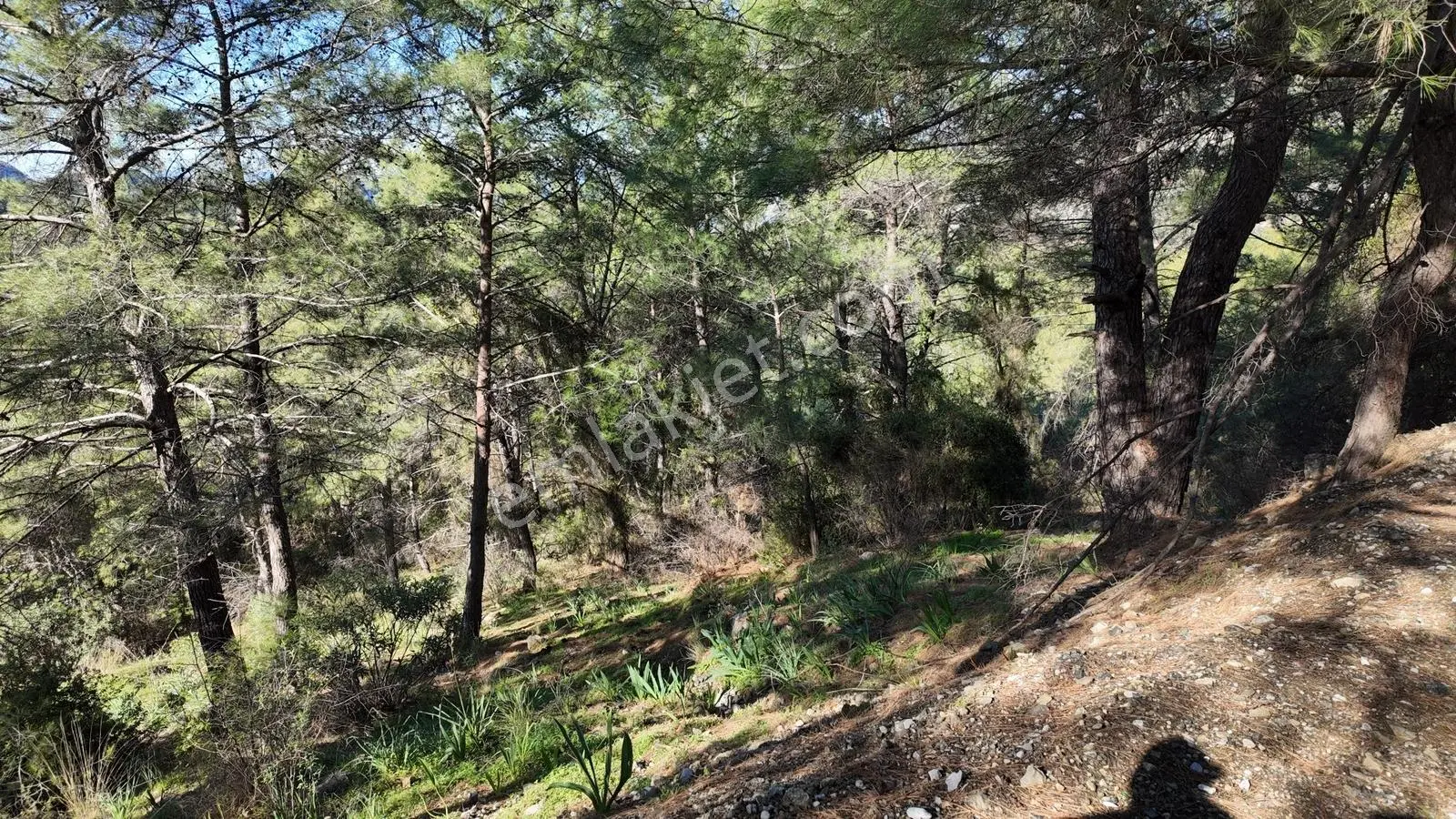 Gökbel Satılık 692 M2 Müstakil Tarla — fotoğraf 2