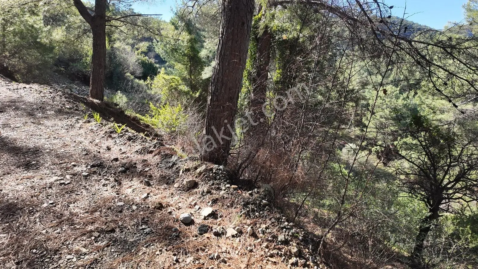 Gökbel Satılık 692 M2 Müstakil Tarla — fotoğraf 4