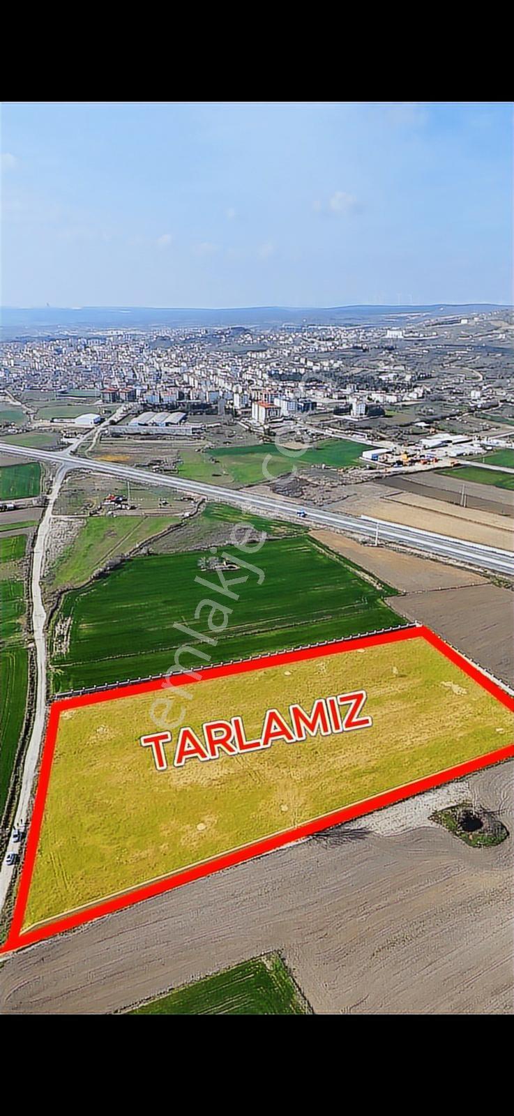 Vize Devlet Mah. Etrafı Taş Duvarla Çevreli Satılık Tarla — fotoğraf 3