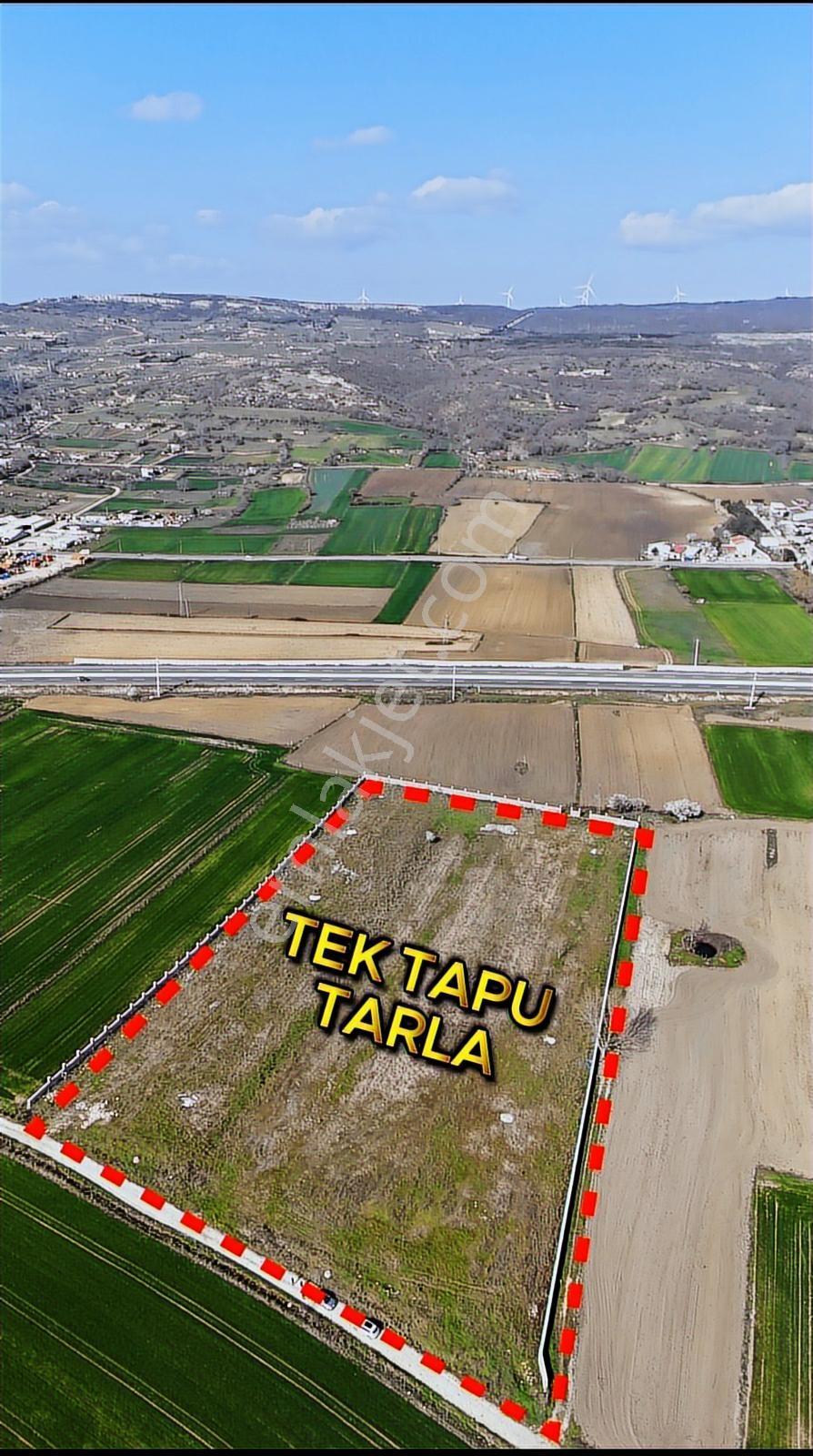 Vize Devlet Mah. Etrafı Taş Duvarla Çevreli Satılık Tarla — fotoğraf 7