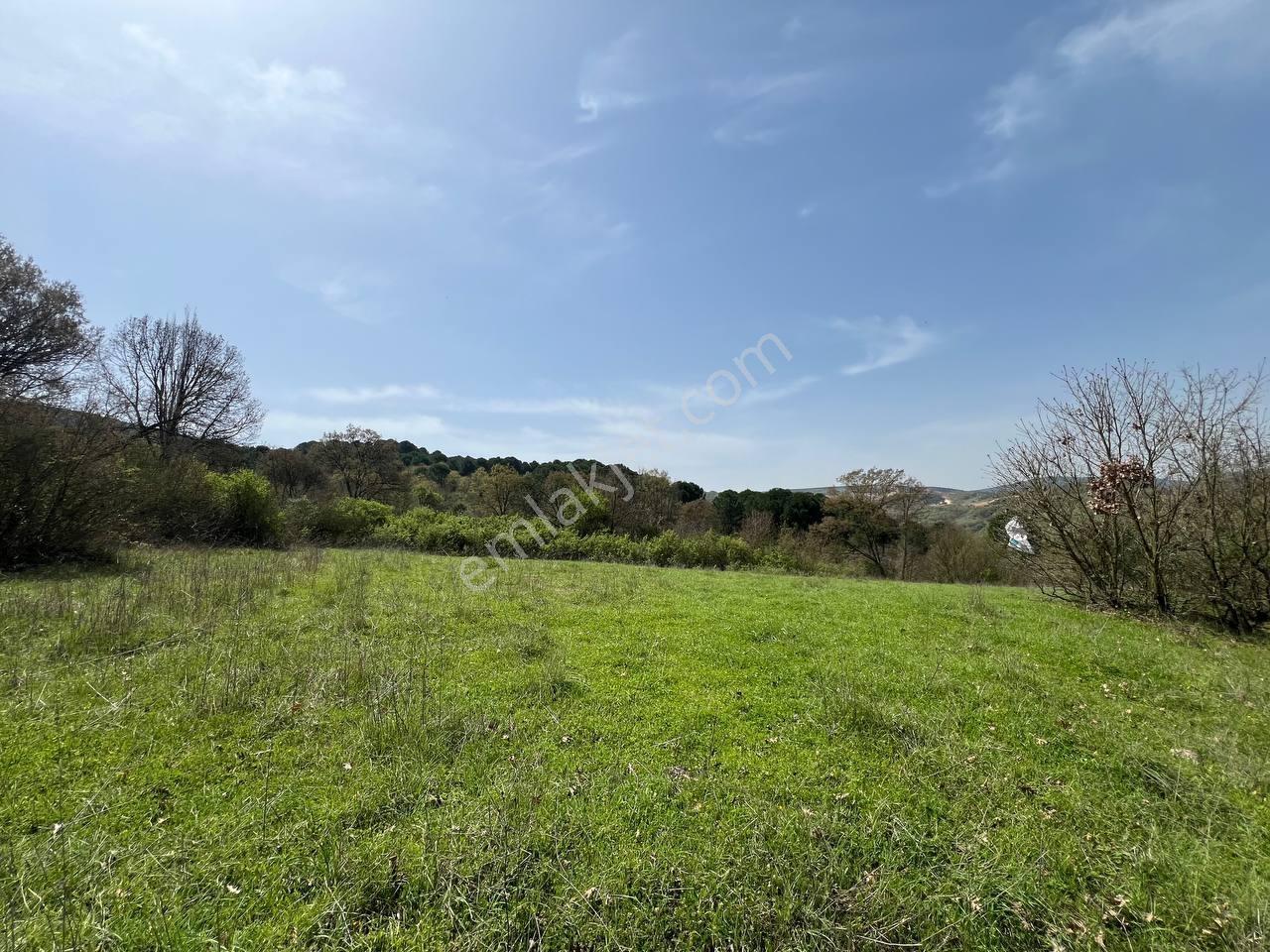 İvrindide Resmî Yola Cepheli, Çay Kenarında 1.800 M² Düz Arazi — fotoğraf 2